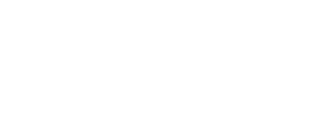 X10 Audiovisual
